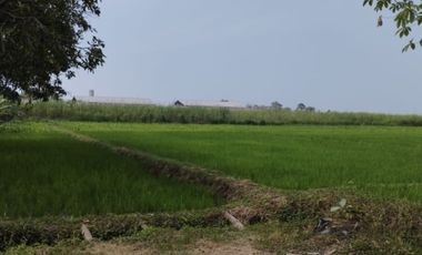 Raya mojowarno jombang tanah industri