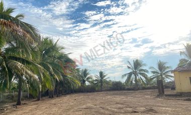 TERRENO PARA DESARROLLO A ORILLA DE PLAYA EN LA SALADITA, IXTAPA ZIHUATANEJO GUERRERO