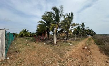 TERRENO PARA DESARROLLO A ORILLA DE PLAYA EN LA SALADITA, IXTAPA ZIHUATANEJO GUERRERO