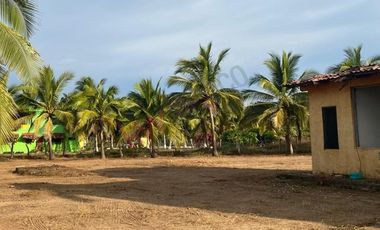 TERRENO PARA DESARROLLO A ORILLA DE PLAYA EN LA SALADITA, IXTAPA ZIHUATANEJO GUERRERO