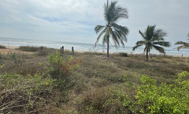 TERRENO PARA DESARROLLO A ORILLA DE PLAYA EN LA SALADITA, IXTAPA ZIHUATANEJO GUERRERO