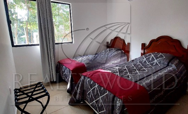 Departamentos en Renta en Puerto Morelos