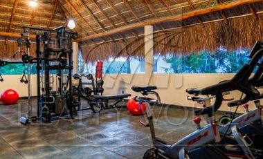 Departamentos en Renta en Puerto Morelos