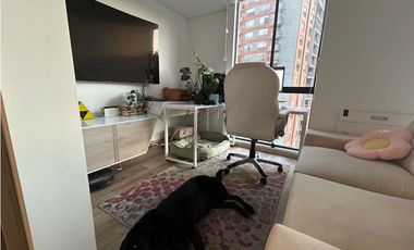 ARRIENDO APARTAESTUDIO EXTERIOR EN LA COLINA