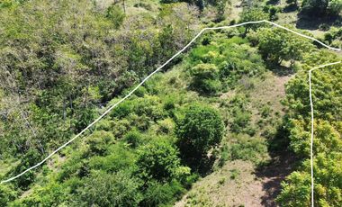 Tanah murah dekat pantai Mawun Kuta Mandalika Lombok. Cocok utk villa