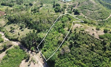 Tanah murah dekat pantai Mawun Kuta Mandalika Lombok. Cocok utk villa