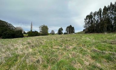 Parcela en venta  en PUERTO VARAS