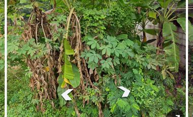 Kavling Tanah Akses Tol Timur (Blkng Sakura Regency 3) Bekasi Timur