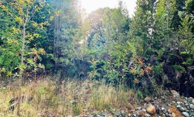 Descubre tu Refugio en el Sur con estas Parcelas de  en Condominio