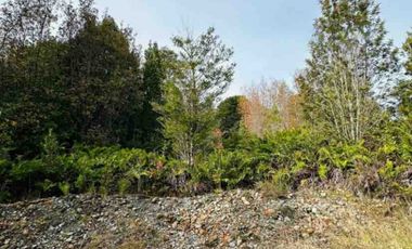 Descubre tu Refugio en el Sur con estas Parcelas de  en Condominio