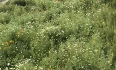 Tu Parcela HUECHURABA  a 15 min de Todo!!!!! 2.500m2