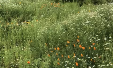 Tu Parcela HUECHURABA  a 15 min de Todo!!!!! 2.500m2