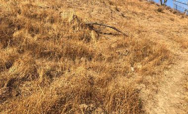 Tu Parcela HUECHURABA  a 15 min de Todo!!!!! 2.500m2