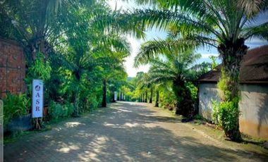 Rumah  Mewah Murah Dp 0% 3 KT/ 2 KM Tabanan Bali.