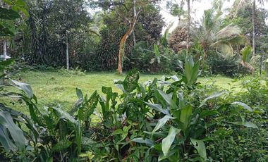 harga tanah di purbalingga