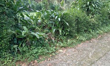 harga tanah di purbalingga