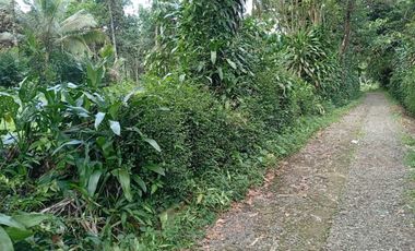 harga tanah di purbalingga