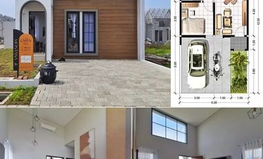 Shaistanaya City Cozy Living