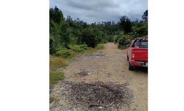 Parcela con orilla de río y rol propio