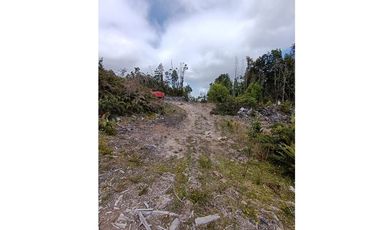 Parcela con orilla de río y rol propio