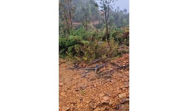 Parcela con orilla de río y rol propio