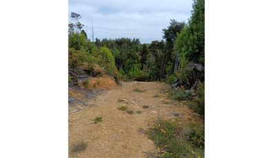 Parcela con orilla de río y rol propio