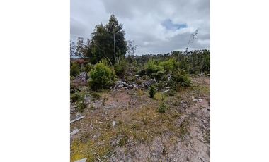 Parcela con orilla de río y rol propio