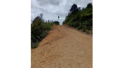 Parcela con orilla de río y rol propio