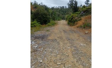 Parcela con orilla de río y rol propio