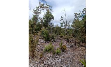 Parcela con orilla de río y rol propio