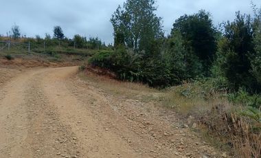 Parcela con orilla de río y rol propio