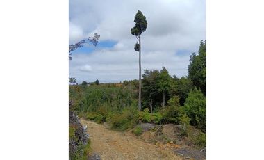 Parcela con orilla de río y rol propio
