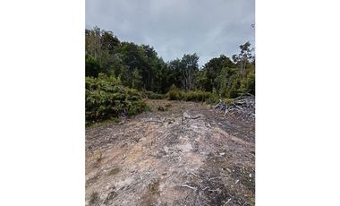 Parcela con orilla de río y rol propio