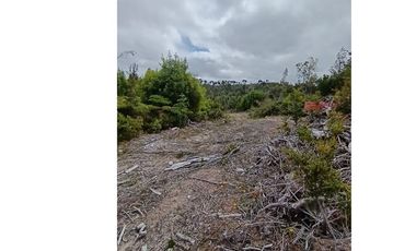 Parcela con orilla de río y rol propio