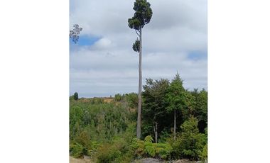 Parcela con orilla de río y rol propio