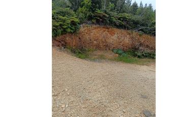 Parcela con orilla de río y rol propio