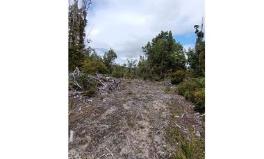 Parcela con orilla de río y rol propio