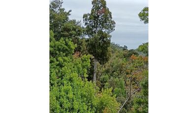 Parcela con orilla de río y rol propio