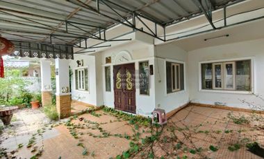 FOR SELL House Palm Thong Trang  CX-125921
