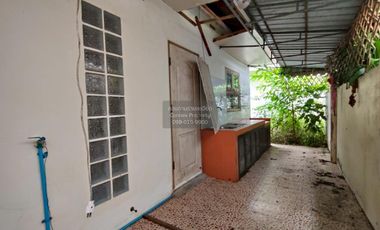 FOR SELL House Palm Thong Trang  CX-125921