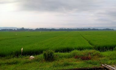 Tanah dijual di Dompal, Getas Kidul, Sukodono, Kendal, Jawa Tengah