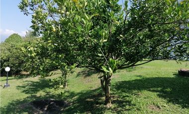 Hermosa CASA QUINTA CAMPESTRE en La Mesa cundi 2.400 m2,  43380 m2