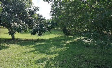 Hermosa CASA QUINTA CAMPESTRE en La Mesa cundi 2.400 m2,  43380 m2