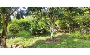 LOTE EN CONDOMINIO EN LA MESA 2800 M2 849 MILL GLAMPING Y LICENCIA