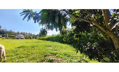 LOTE EN CONDOMINIO EN LA MESA 2800 M2 849 MILL GLAMPING Y LICENCIA