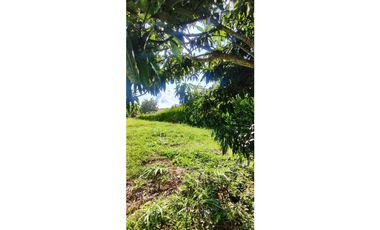 LOTE EN CONDOMINIO EN LA MESA 2800 M2 849 MILL GLAMPING Y LICENCIA