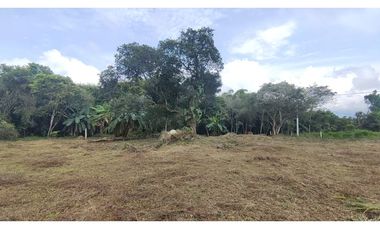 Se vende lote de 1003 M2 en 230 millones en La Mesa Cund, COL