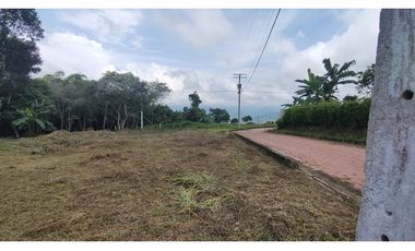 Se vende lote de 1003 M2 en 230 millones en La Mesa Cund, COL