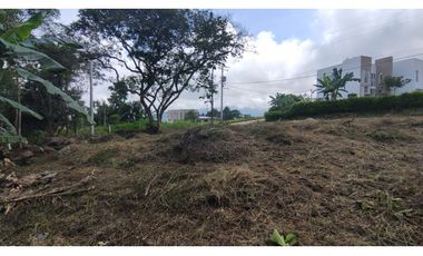 Se vende lote de 1003 M2 en 230 millones en La Mesa Cund, COL