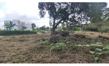 Se vende lote de 1003 M2 en 230 millones en La Mesa Cund, COL